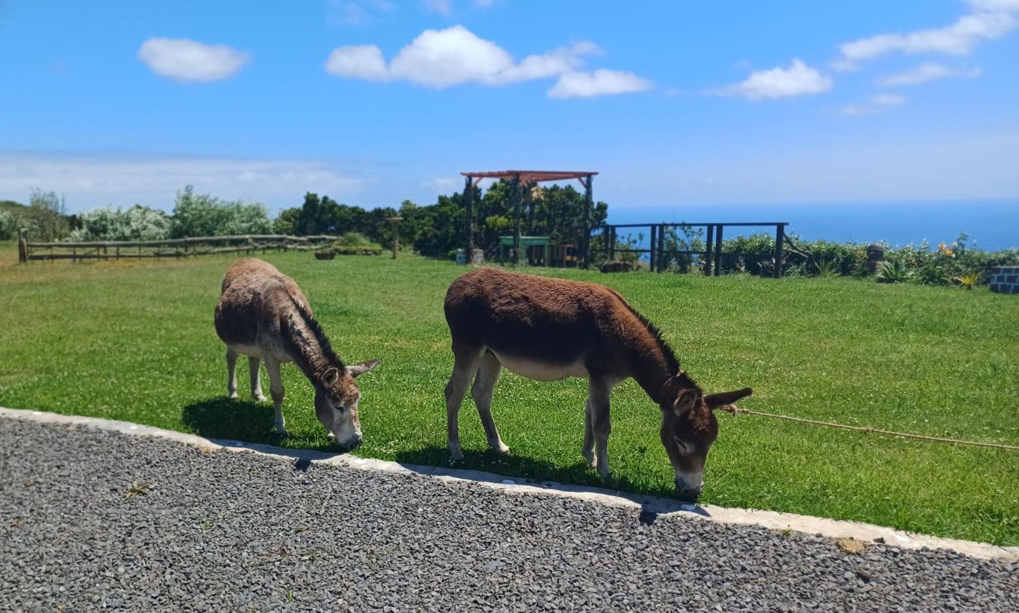 Casita - Cantinho Do Paraiso Vila do Porto Zewnętrze zdjęcie